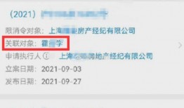 爆料跳单视频教程下载手机版,手机版下载实操攻略